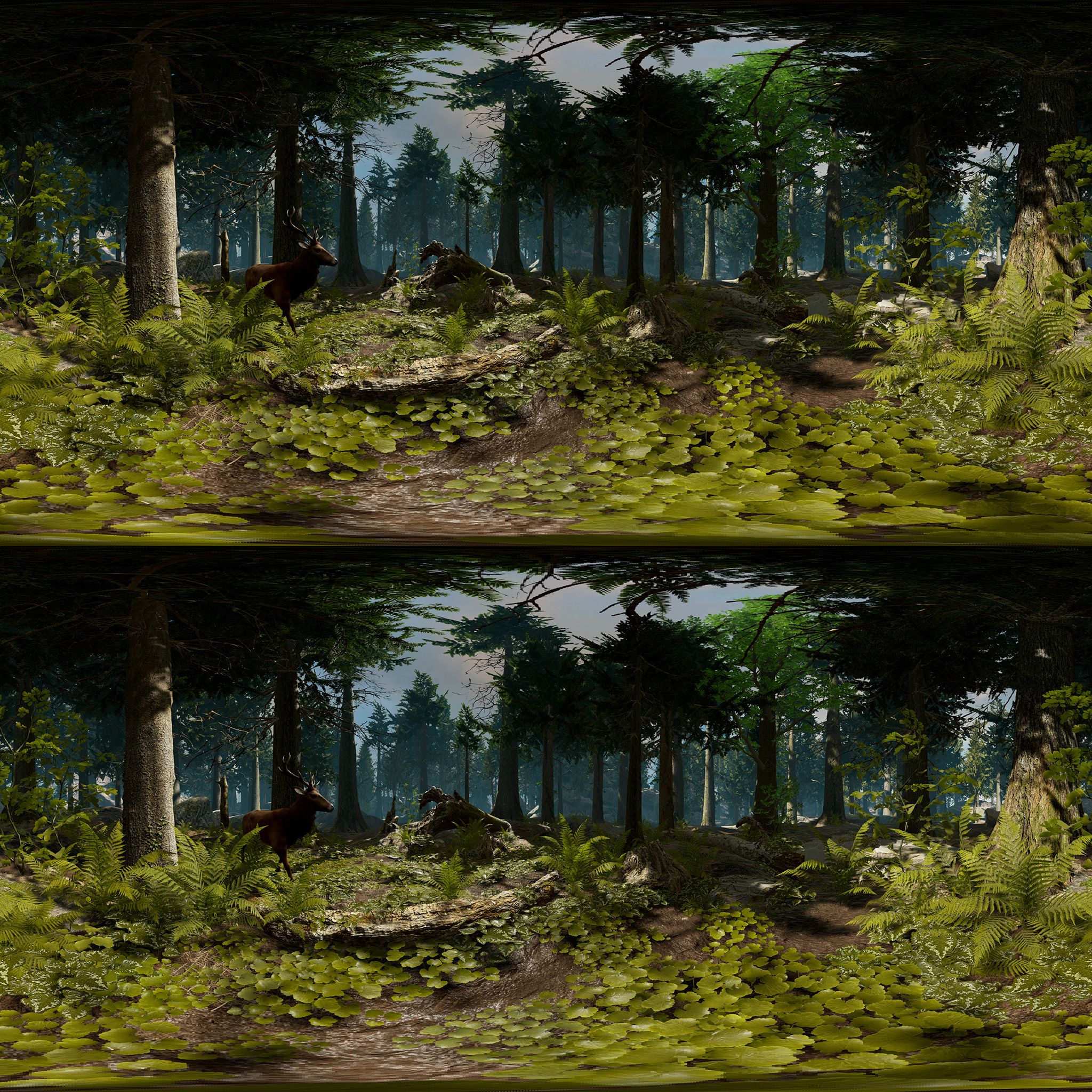 forest 360