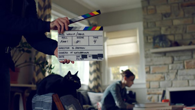 thumb wacom carli animal photographer