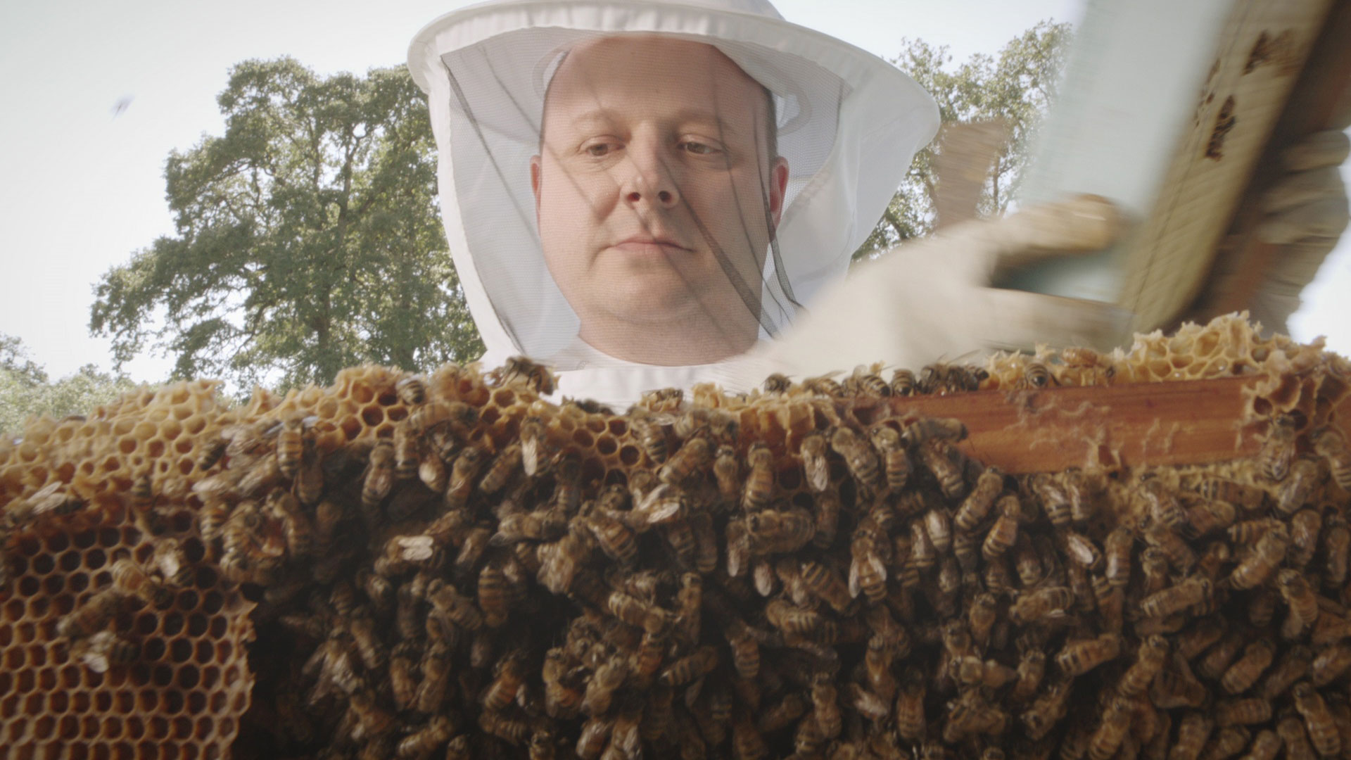 upmc beekeeper 3