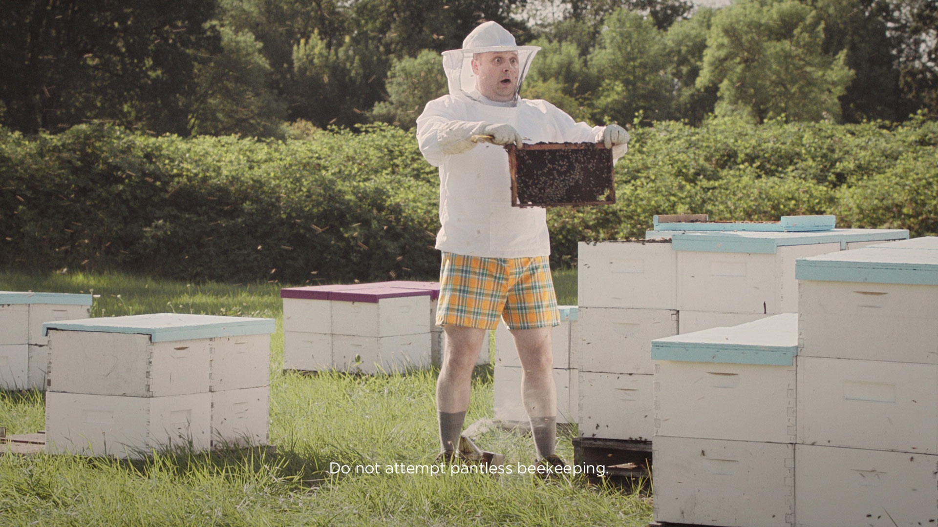 upmc beekeeper 4